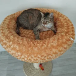 Poste Rascador con Nido en Peluche - Image 4