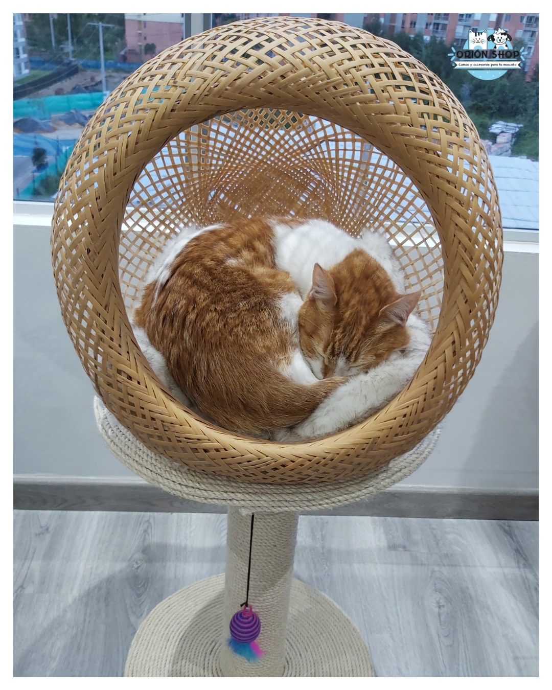 Rascador Esquinero Para Gatos Protector De Sofá – OrionShop: Tienda de  productos para mascotas
