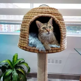 Poste Rascador con Casa en Junco para Gato