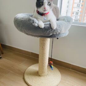 Poste Rascador con Nido en Peluche