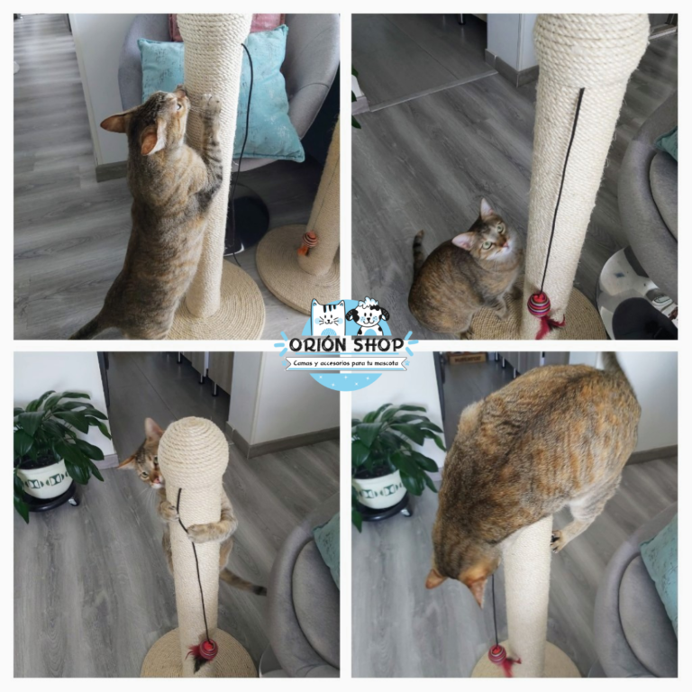 Poste Rascador Para Gato En Cabuya Orionshop Tienda De Productos