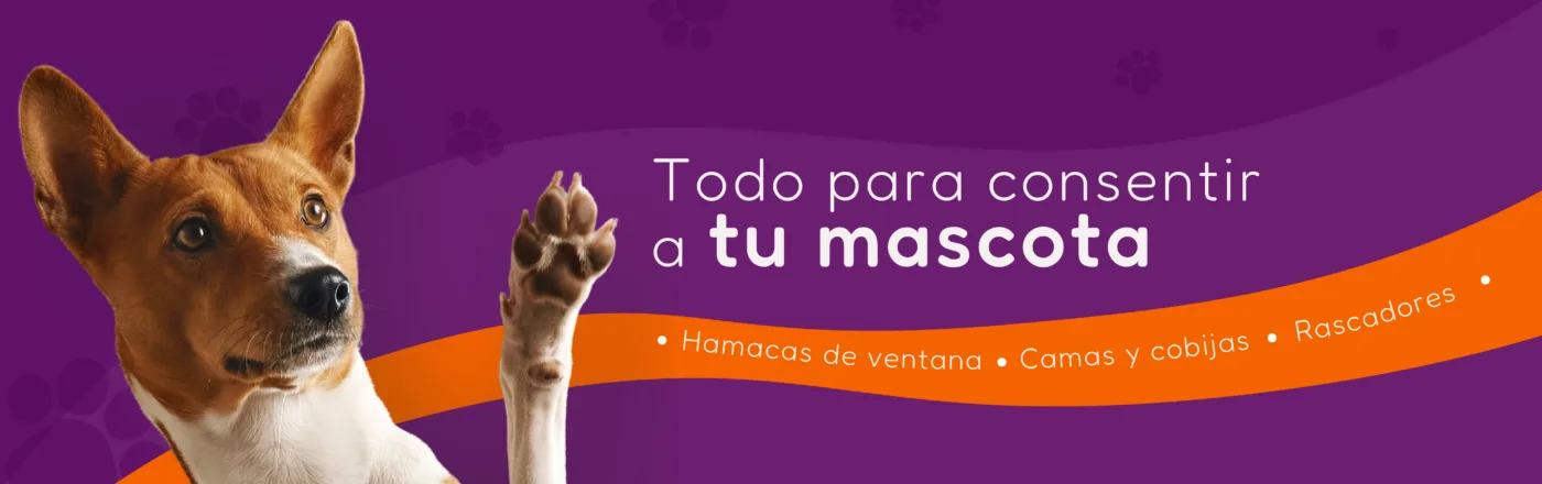 Todo para consentir a tu mascota