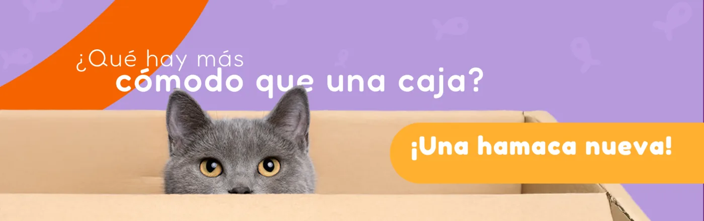 ¿Qué hay más cómodo que una caja? ¡una hamaca nueva!