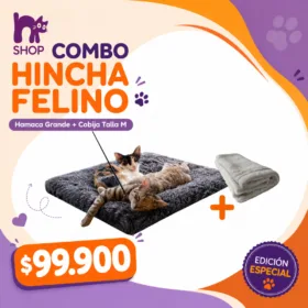🐱⚽ Combo Hincha Felino